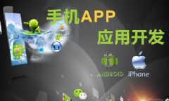 手機(jī)app開發(fā)11大步驟、技術(shù)人員、常用接口