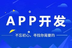 開發(fā)一個(gè)app多少錢？