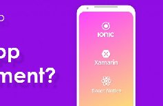 為什么要定制APP開發(fā)，APP開發(fā)定制的好處？