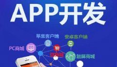 如何在您的APP開發(fā)中建立品牌印象？